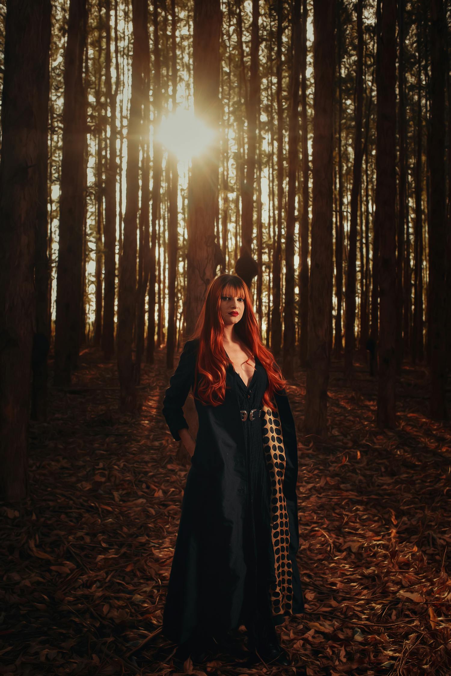 Woman in Black Long Sleeve Dress Standing in Forest · Free Stock Photo