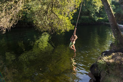 Free stock photo of boy, child, dive