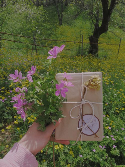 Free A hand holding a gift wrapped in craft paper with purple wildflowers in a lush green meadow. Stock Photo