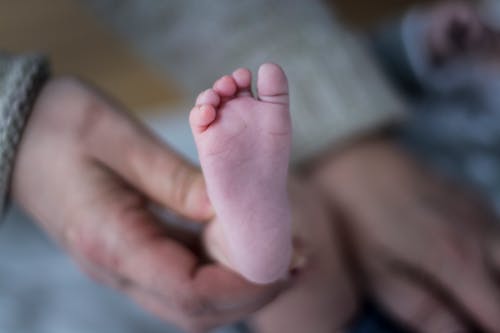 Free stock photo of baby, child, feet Stock Photo