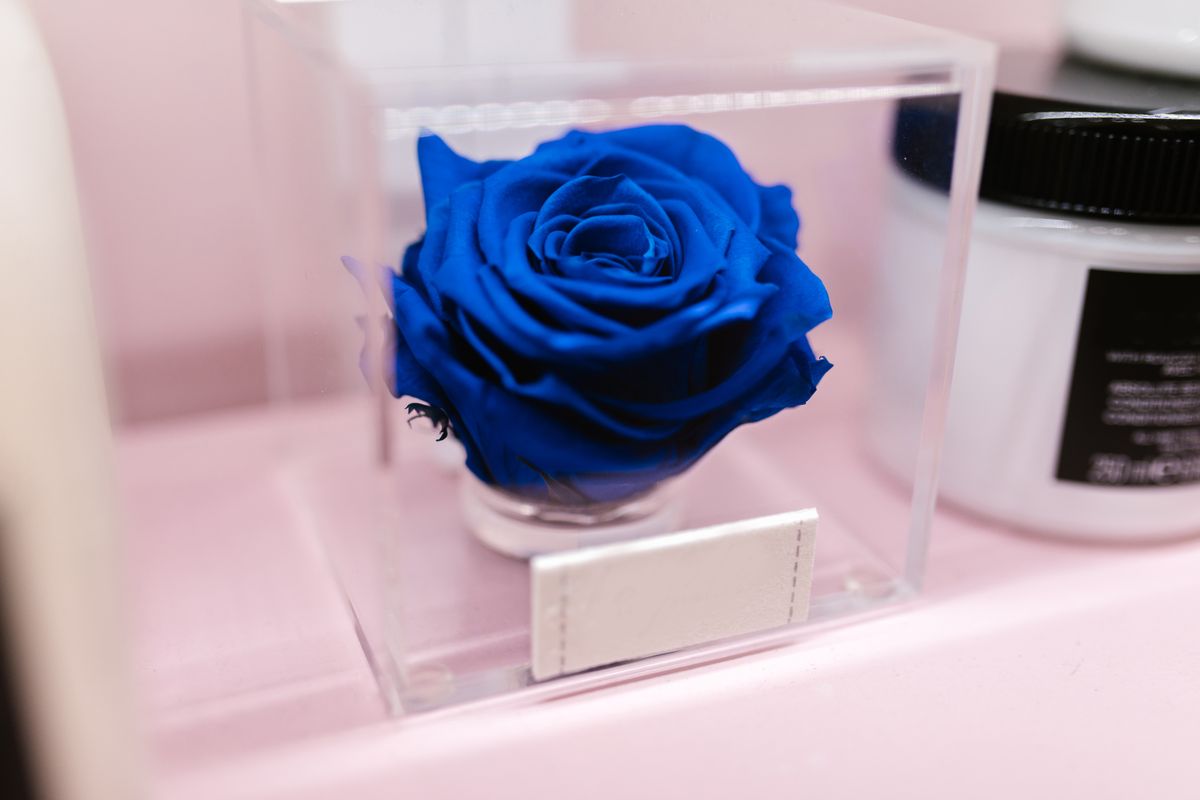 Luxury preserved rose displayed in a clear case
