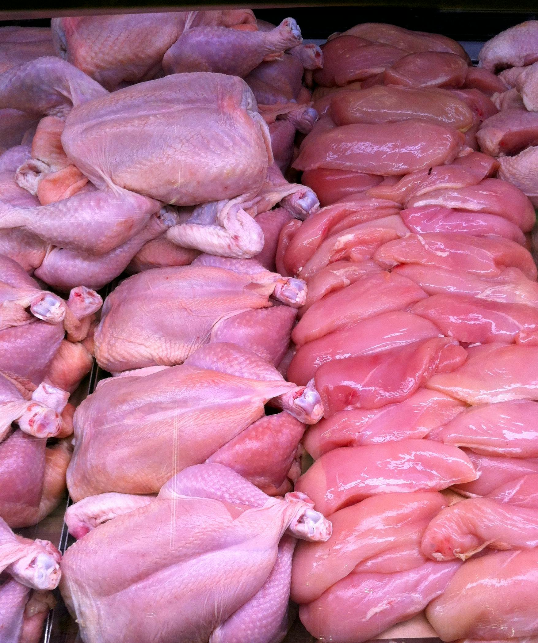 Free stock photo of raw chicken