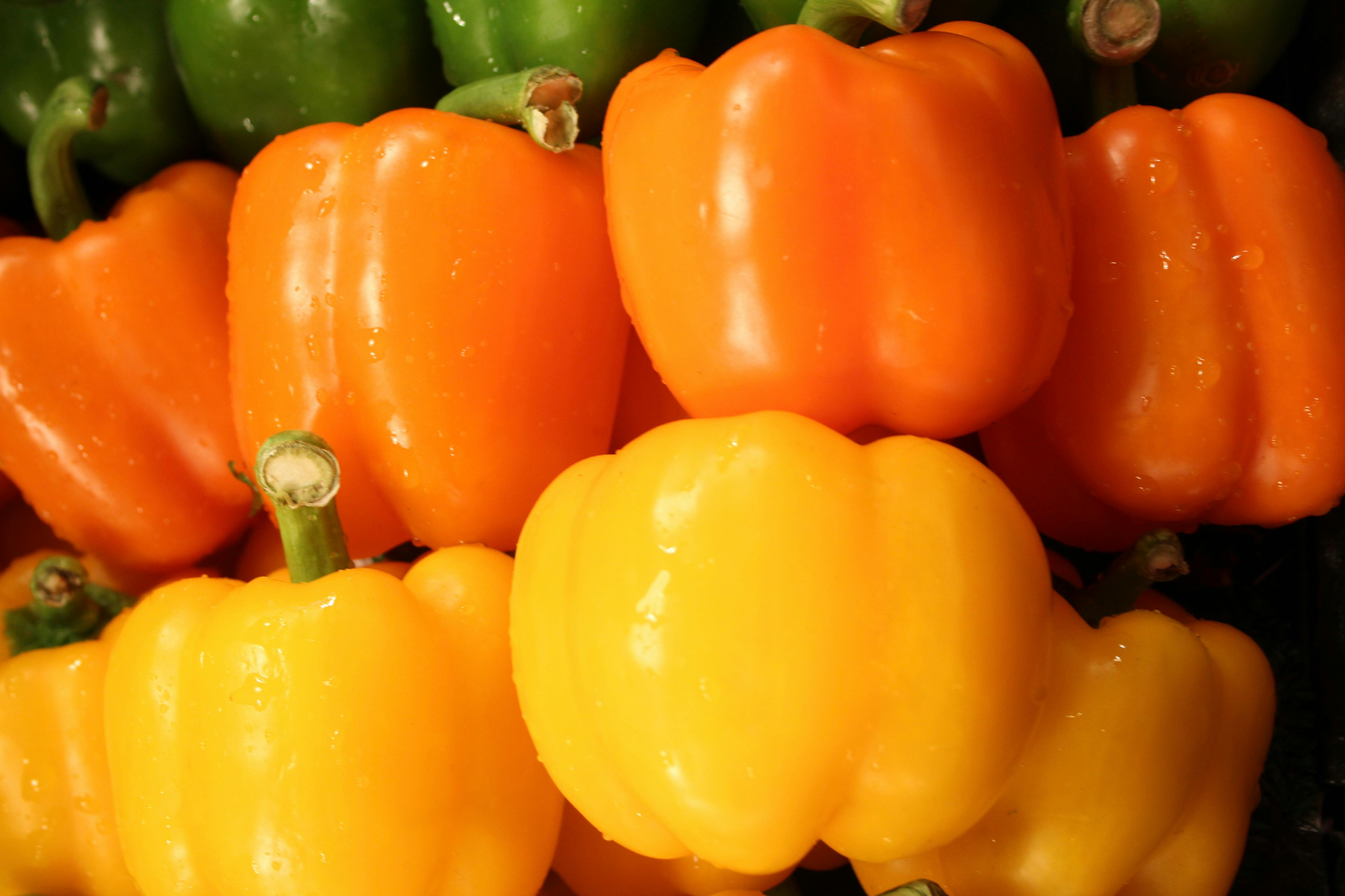 Free stock photo of bell peppers