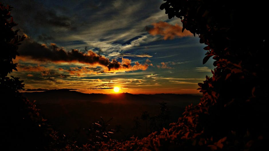 Varmuuskopiointi ennen päivitystä Varmuuskopiointi ennen päivitystä - Beautiful sunset with silhouetted foliage framing the vibrant sky over the hills in Aizaw