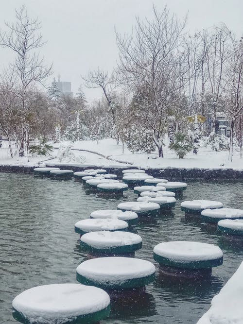 Imagine de stoc gratuită din zăpadă lac