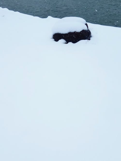 Darmowe zdjęcie z galerii z kamień śniegu