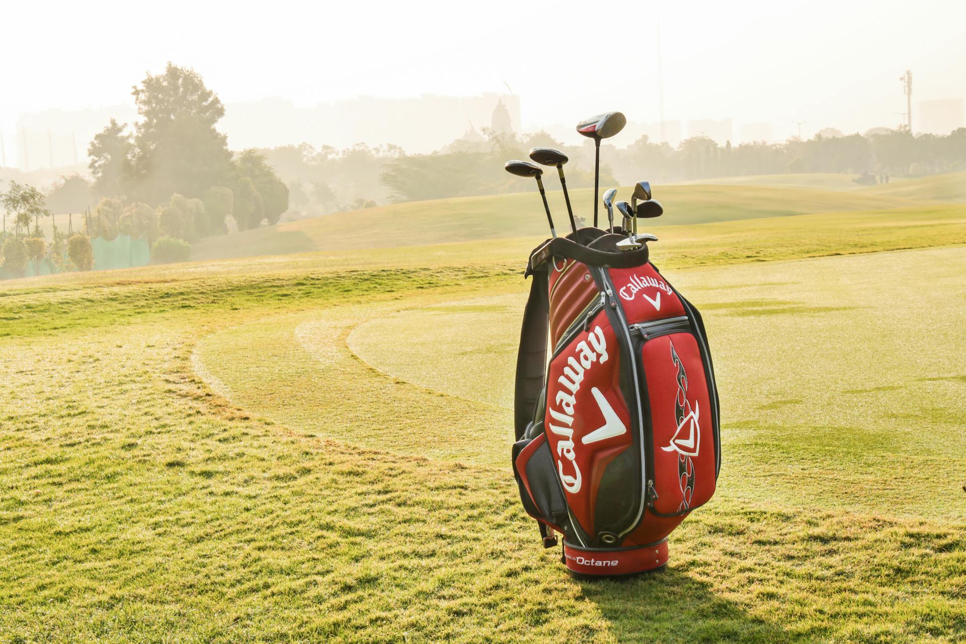 Professional golf bag with golf equipment standing on green golf field against trees and buildings on background in summer sunny morning