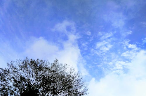 Бесплатное стоковое фото с голубое небо