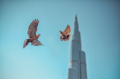 Foto stok gratis @ luar, biru, Burj Khalifa