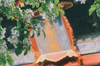 Clusters of White Flowers With Green Leaves