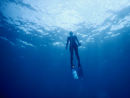 Free Full body of unrecognizable diver in flippers and wetsuit swimming underwater of deep blue ocean on sunny day Stock Photo