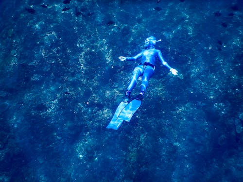 From above of anonymous diver in wet suit and flippers exploring coral reefs while swimming underwater of clear blue sea