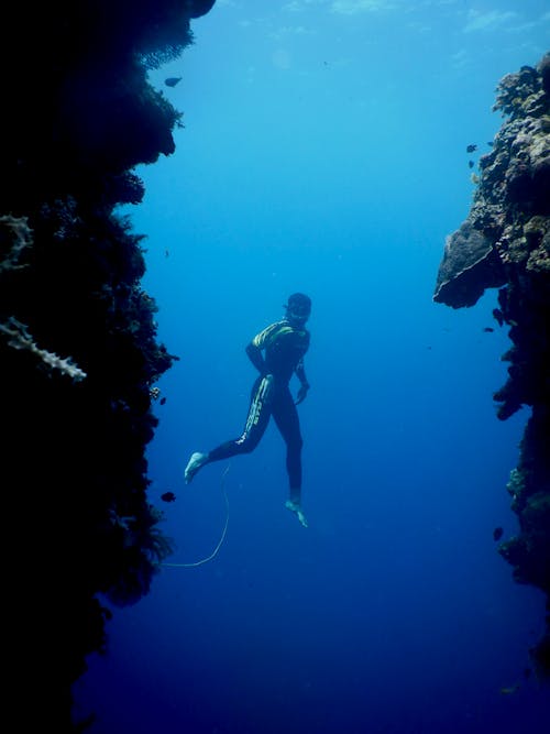 Full body of unrecognizable barefooted diver in wetsuit and mask swimming under clear sea water amidst huge coral reefs in daylight