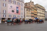 People Riding on Horses