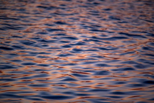 Free Ripples on Body of Water Stock Photo