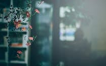 粉红色花朵的艺术镜头通过模糊的背景和柔和的焦点营造出梦幻般的效果