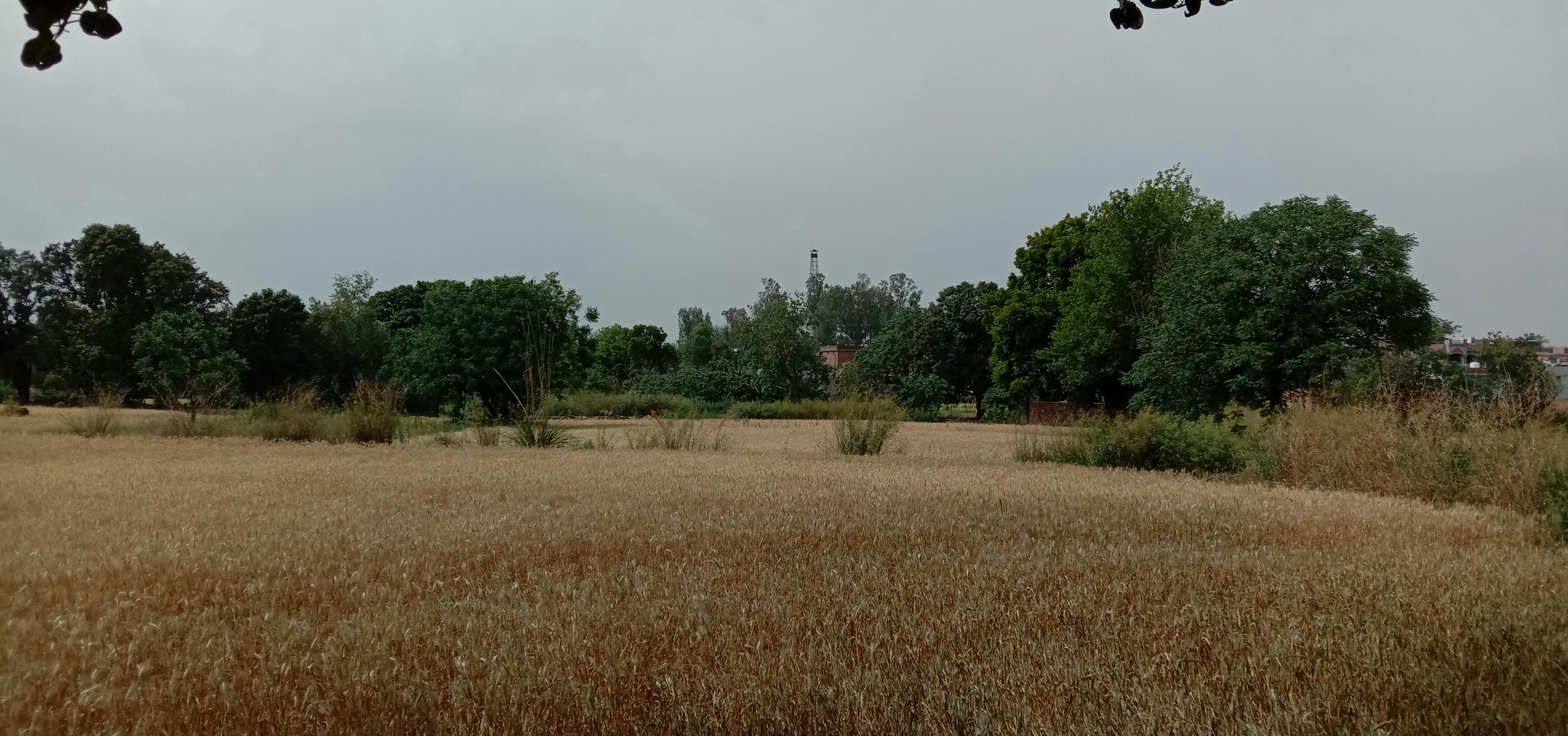 Ein Kind posiert in einem modischen Outfit mit Baggy Jeans und Hoodie.