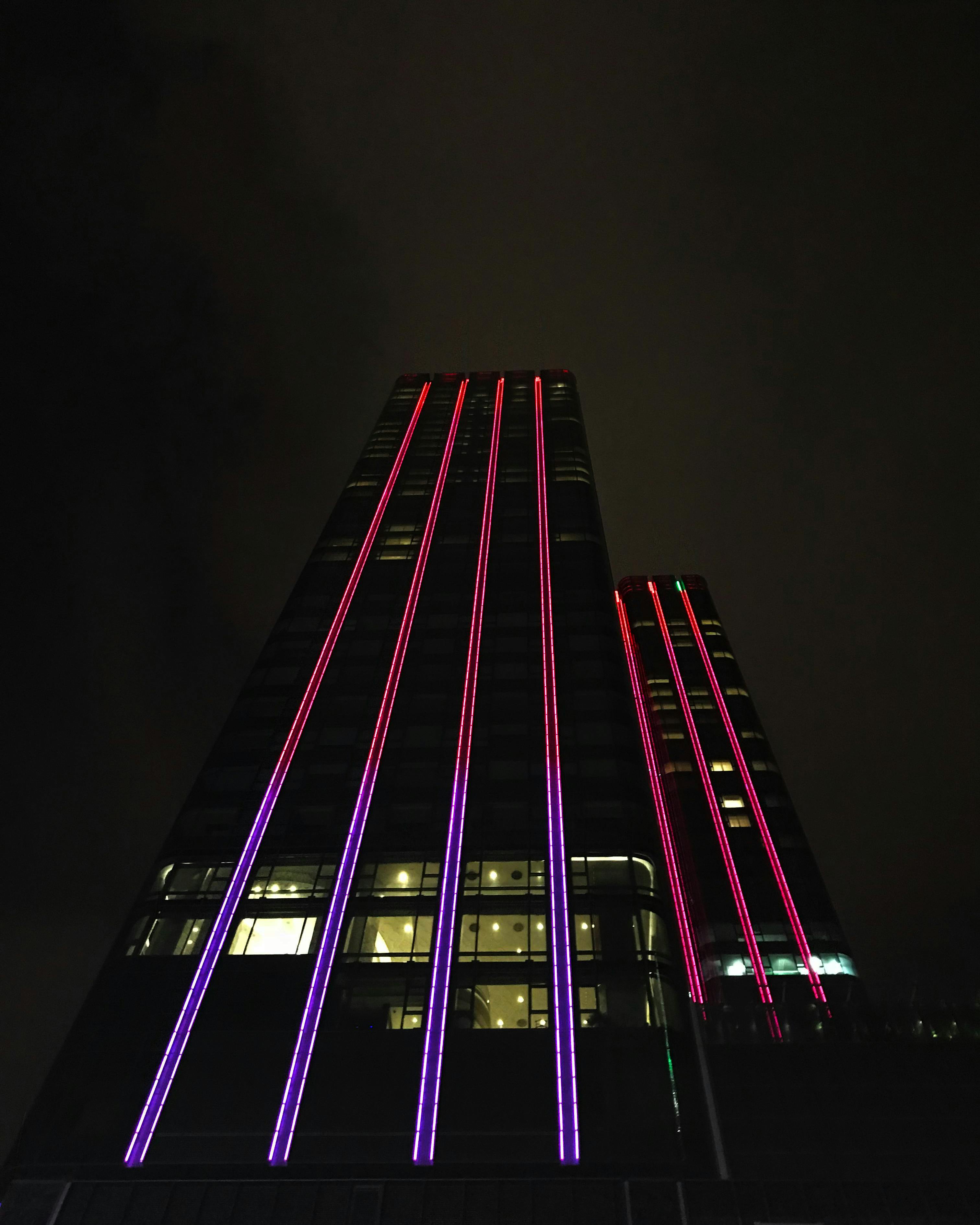 Free stock photo of light, neon, night