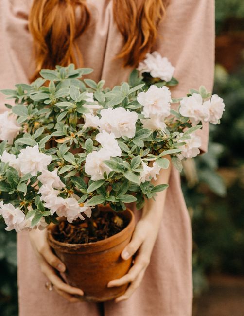 Crop anonymous female with red hair and blossoming flowers in hands standing in garden on blurred background on summer day
