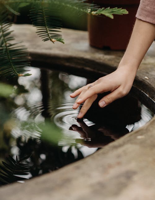 Unrecognizable woman touching water in garden