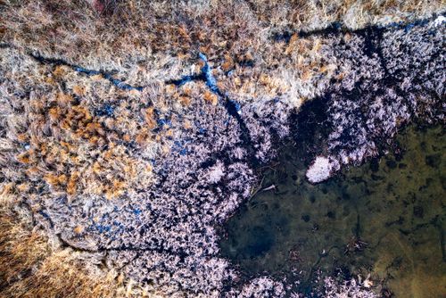 Free Drone shot capturing the frosty wetlands landscape in Minneiska, MN during winter. Stock Photo