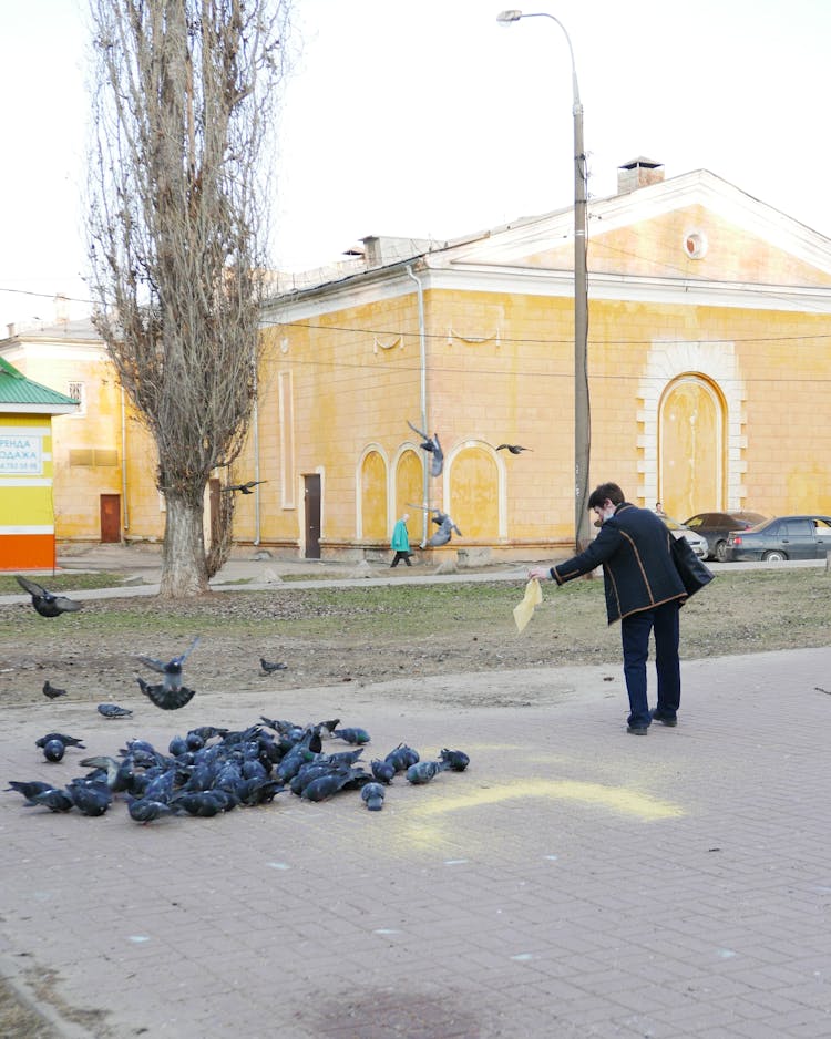 Woman Feeding Pigeons On The Street