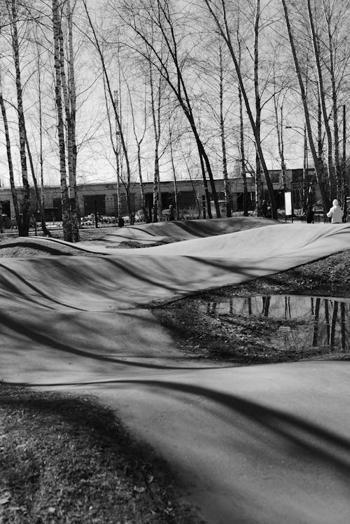 Skatepark Near Leafless Trees