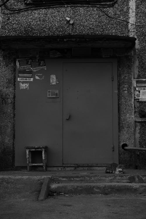 Бесплатное стоковое фото с вертикальный выстрел, дверной проем, дверь