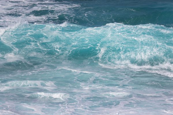marine business insurance