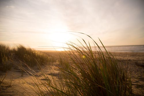 Landschapsfotografie Van Strand