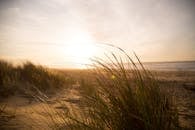 Landscape Photography of Beach