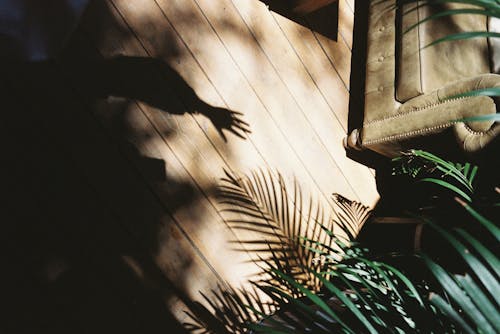 Shadow of Hand on Wooden Floor