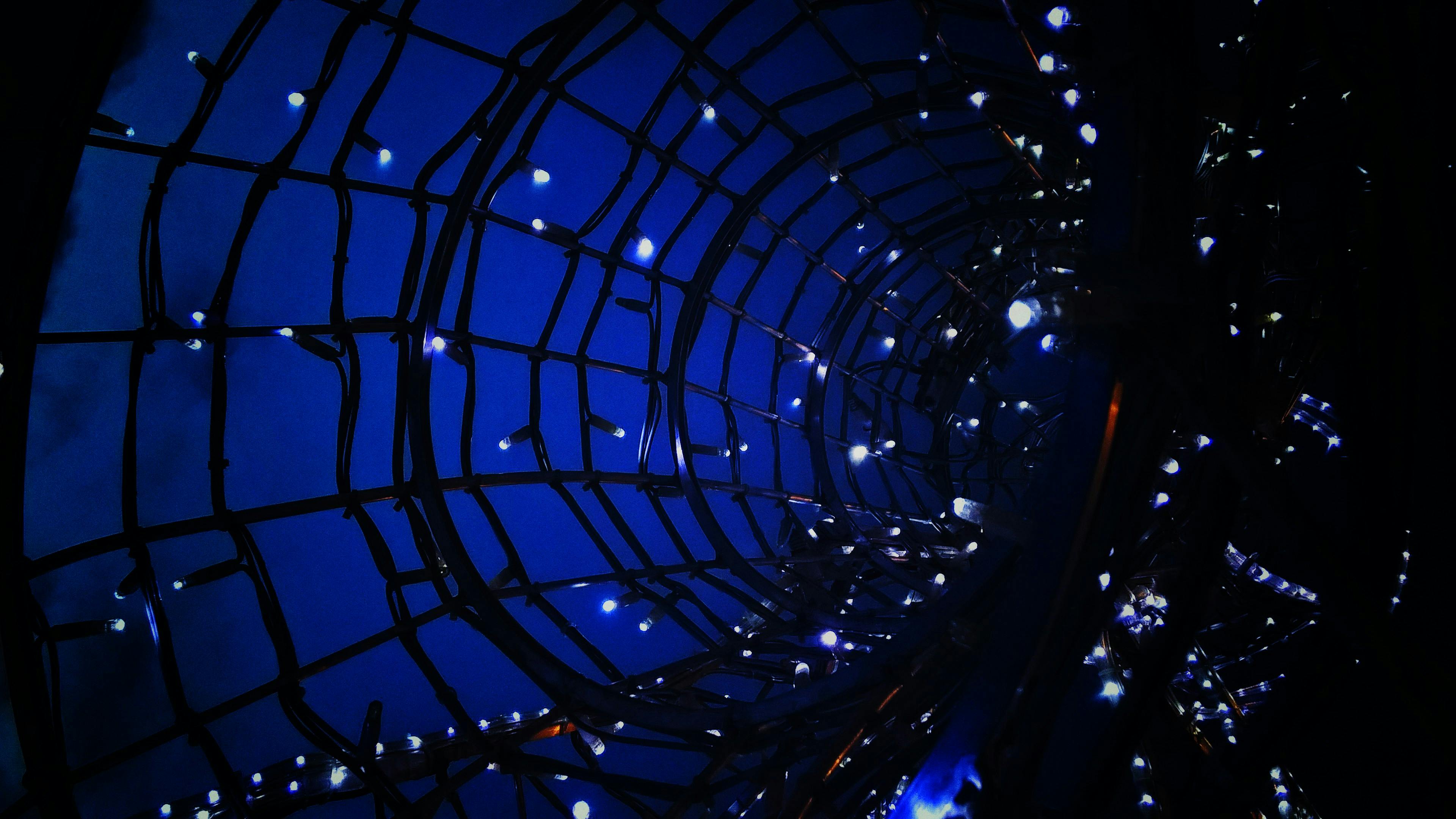 free stock photo of blue night theme light