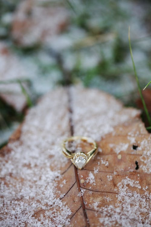 Diamond Pear Cut Ring On Brown Leaf With Snow