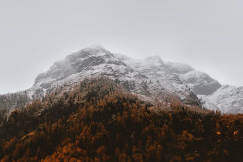 Gratis lagerfoto af bjerg, diset, forkølelse