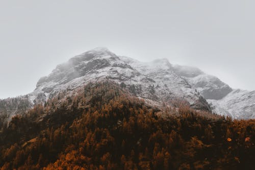 Montaña Glaciar Blanco