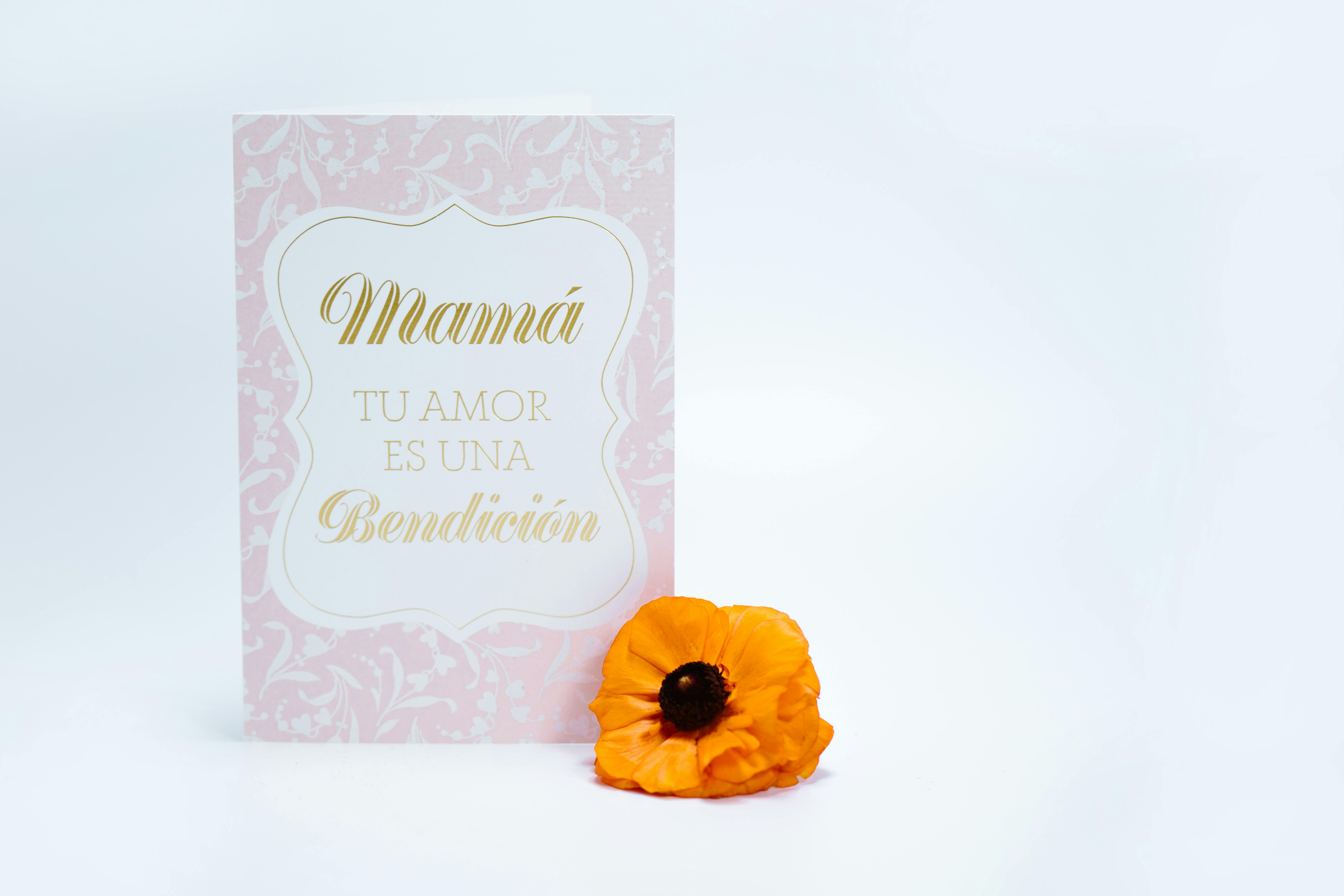 Las mejores tarjetas regalo familiares