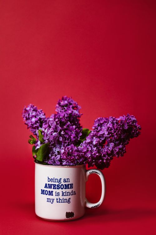 Free Purple lilacs in a decorative mug with Mother's Day text against a vibrant red background. Stock Photo