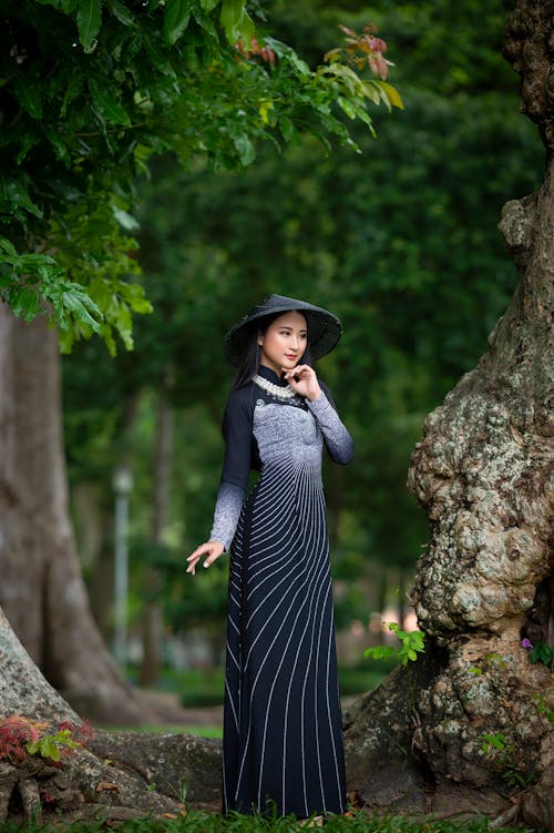Ilmainen kuvapankkikuva tunnisteilla aasialainen nainen, elegantti, mekko