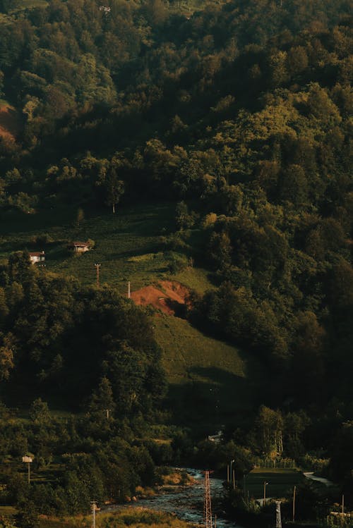 Foto profissional grátis de ágil, água, árvore