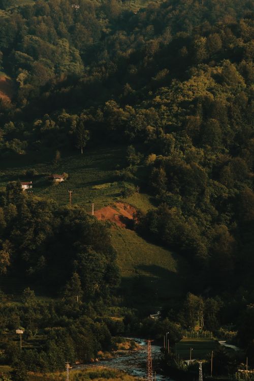 Free From above of picturesque landscape of lush green trees growing in forest and rapid mountainous river Stock Photo