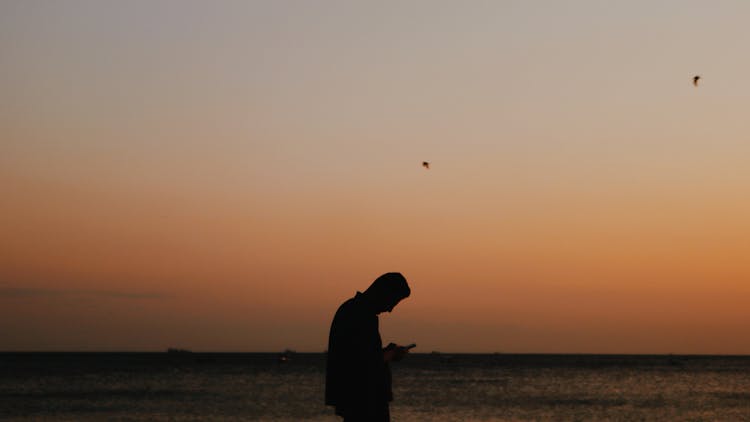 Silhouette Of Man On Seashore Messaging On Smartphone In Sunset