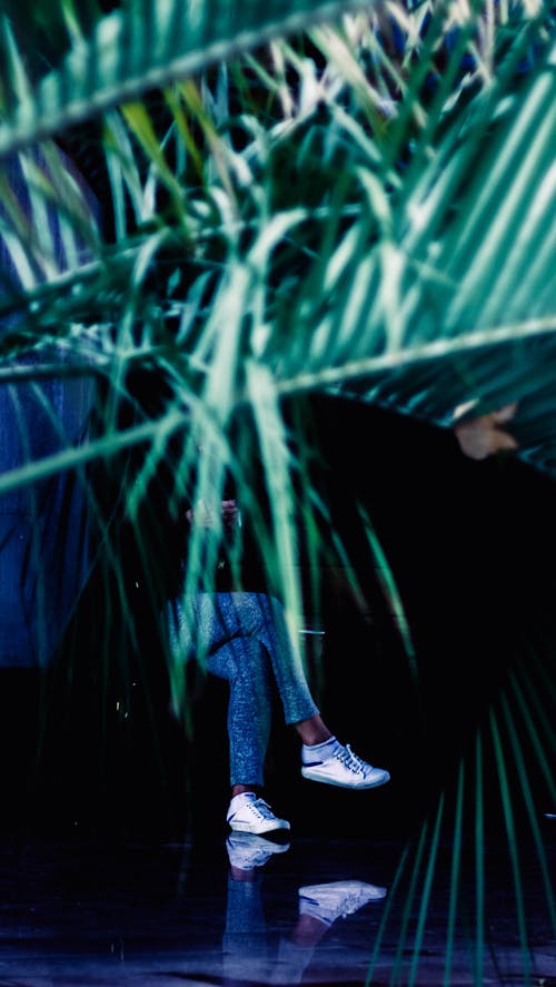 Человек в черной рубашке и синих джинсовых штанах за растением