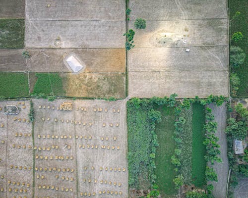 Ingyenes stockfotó farm, felülnézet, légi felvétel témában