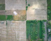 Commercial Plot, Sector 150, photo 1