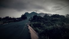 黄昏时，山路上可见电线和茂密的树叶