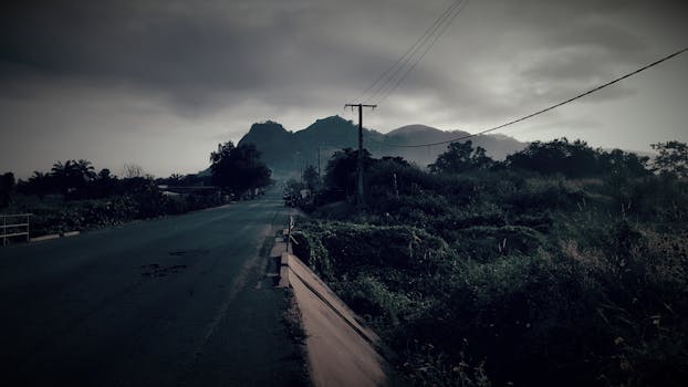 黄昏时，山路上可见电线和茂密的树叶