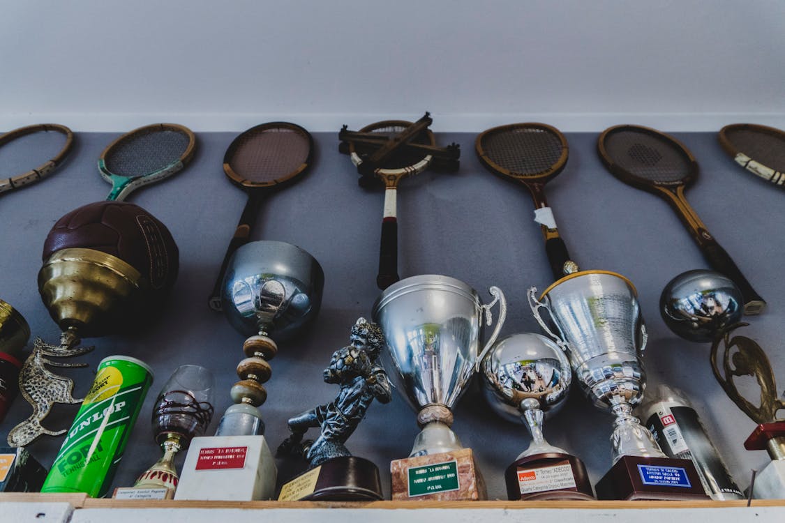 Assorted Trophies · Free Stock Photo