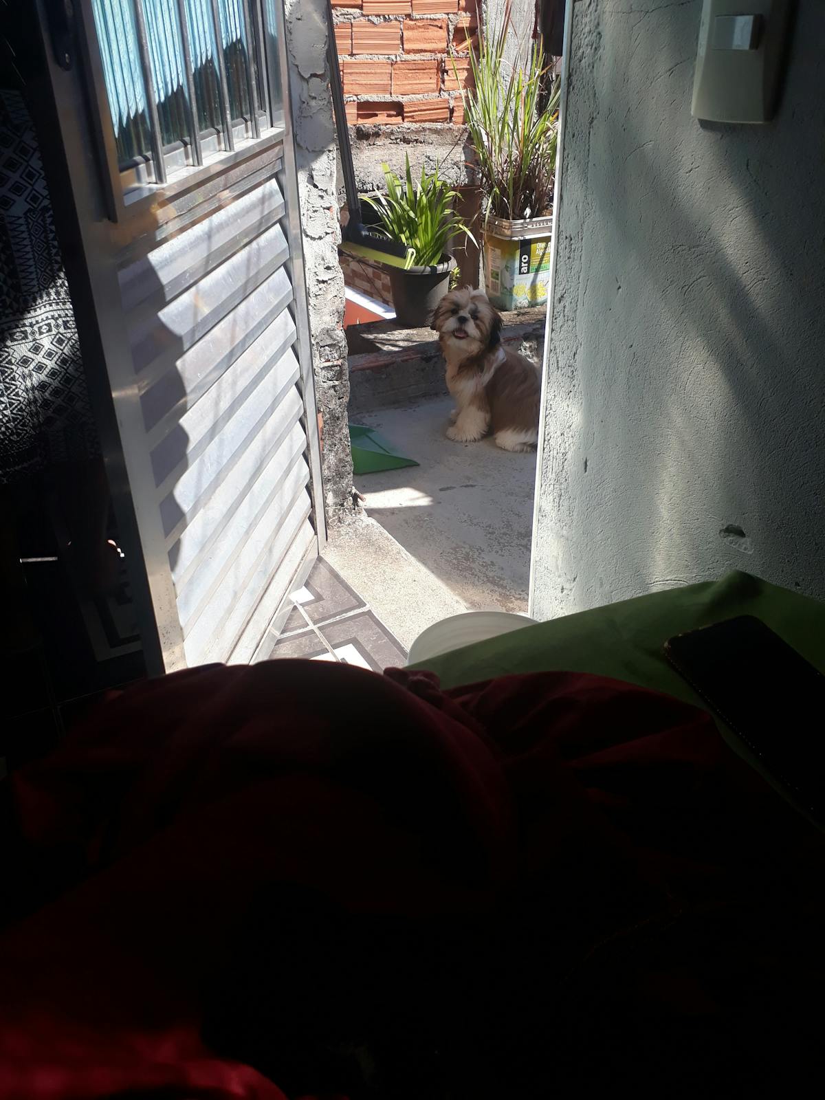 A table set with a variety of small plates, salads, and bread for a casual dinner