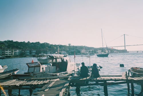 People Sitting on Wooden Dock